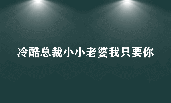 冷酷总裁小小老婆我只要你