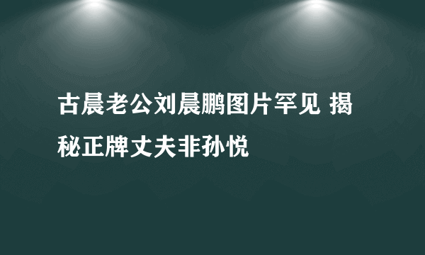 古晨老公刘晨鹏图片罕见 揭秘正牌丈夫非孙悦