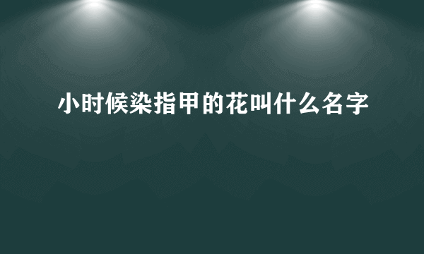 小时候染指甲的花叫什么名字