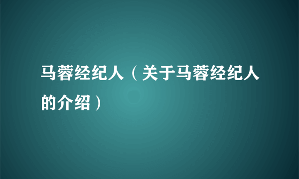 马蓉经纪人（关于马蓉经纪人的介绍）