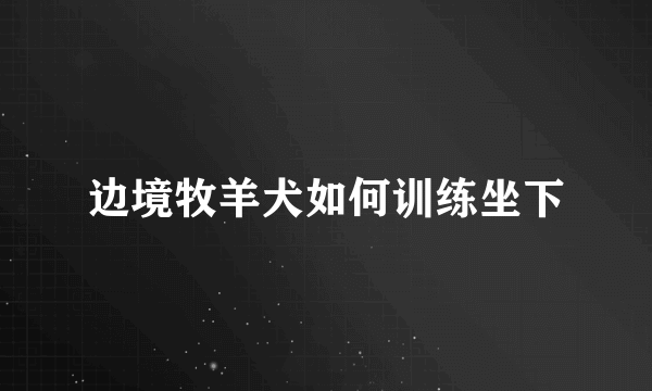 边境牧羊犬如何训练坐下