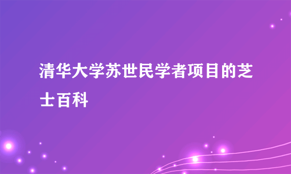 清华大学苏世民学者项目的芝士百科