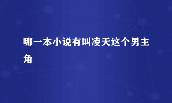 哪一本小说有叫凌天这个男主角