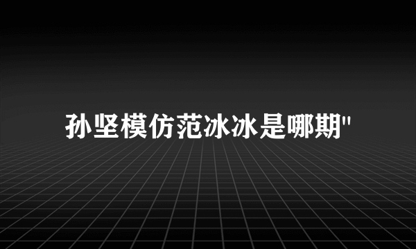 孙坚模仿范冰冰是哪期