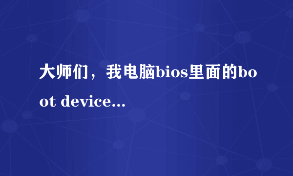 大师们，我电脑bios里面的boot devicepriority 里只有1st，打开也只有两个选项，怎么办？