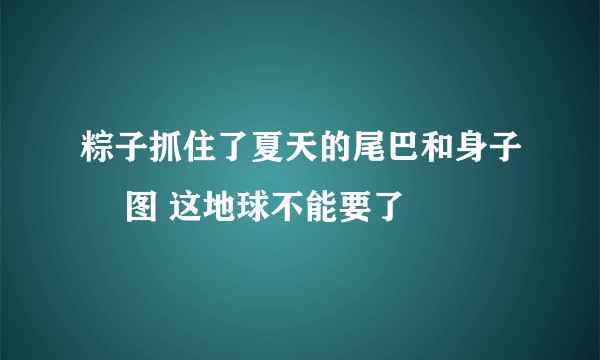 粽子抓住了夏天的尾巴和身子 囧图 这地球不能要了