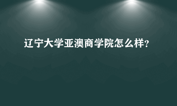 辽宁大学亚澳商学院怎么样？