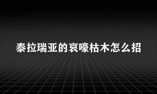 泰拉瑞亚的哀嚎枯木怎么招