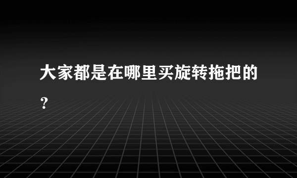 大家都是在哪里买旋转拖把的？