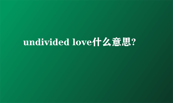 undivided love什么意思?