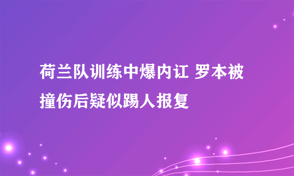 荷兰队训练中爆内讧 罗本被撞伤后疑似踢人报复