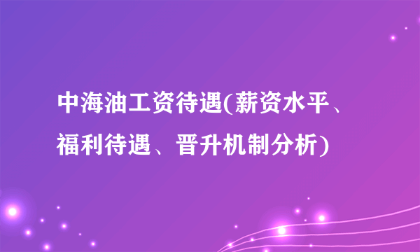 中海油工资待遇(薪资水平、福利待遇、晋升机制分析)