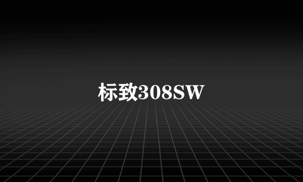 标致308SW