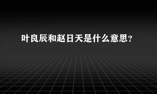 叶良辰和赵日天是什么意思？