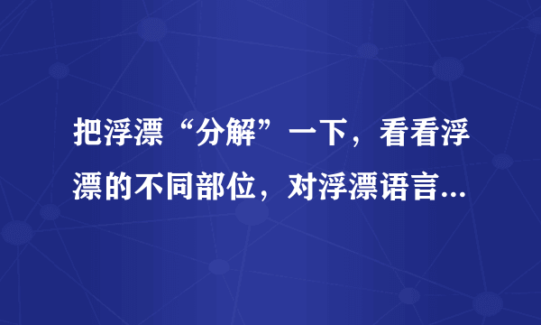 把浮漂“分解”一下，看看浮漂的不同部位，对浮漂语言有哪些影响