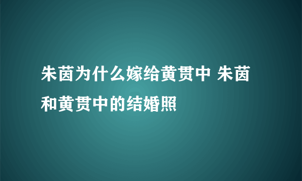 朱茵为什么嫁给黄贯中 朱茵和黄贯中的结婚照