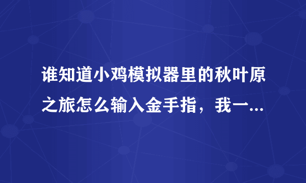 谁知道小鸡模拟器里的秋叶原之旅怎么输入金手指，我一点输入金手指就返回了，谁能告诉我，我真心感谢他？