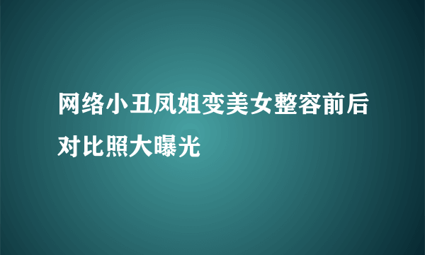 网络小丑凤姐变美女整容前后对比照大曝光