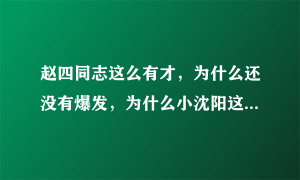 赵四同志这么有才，为什么还没有爆发，为什么小沈阳这样的还能火这么久！力挺赵四