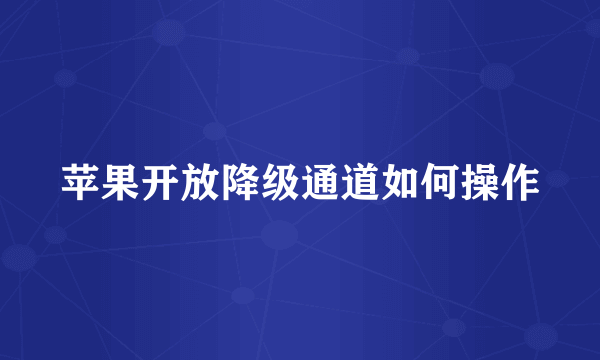 苹果开放降级通道如何操作