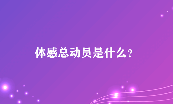 体感总动员是什么？