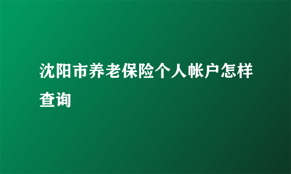 沈阳市养老保险个人帐户怎样查询