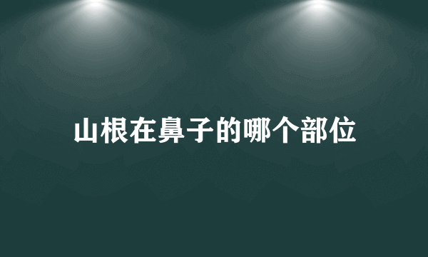 山根在鼻子的哪个部位