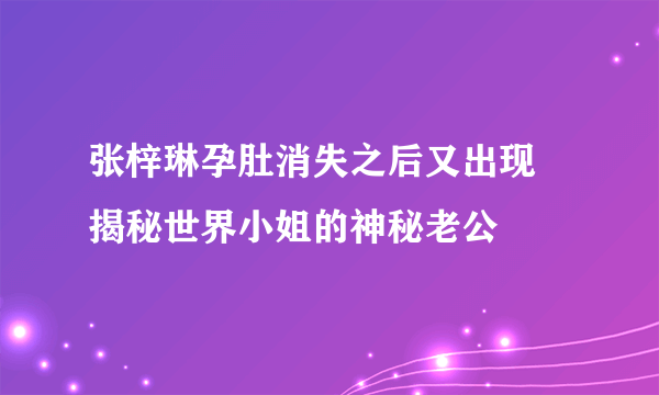 张梓琳孕肚消失之后又出现 揭秘世界小姐的神秘老公