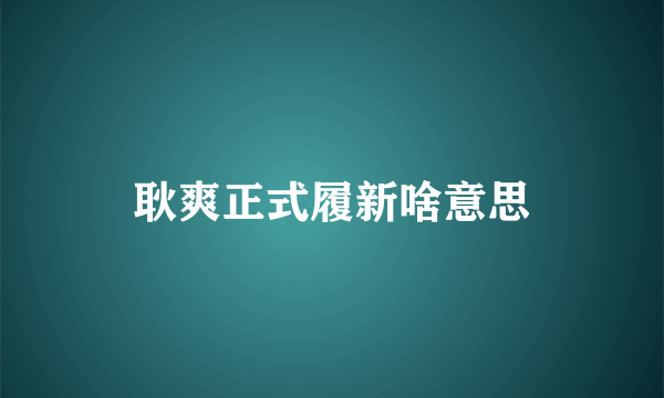 耿爽正式履新啥意思