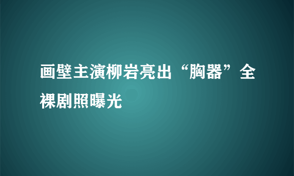 画壁主演柳岩亮出“胸器”全裸剧照曝光