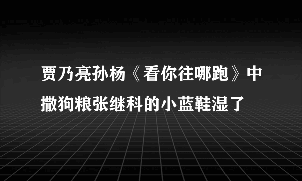 贾乃亮孙杨《看你往哪跑》中撒狗粮张继科的小蓝鞋湿了