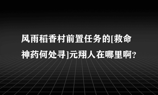 风雨稻香村前置任务的[救命神药何处寻]元翔人在哪里啊？