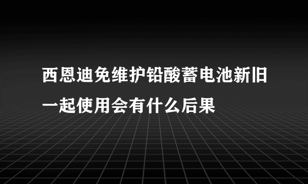 西恩迪免维护铅酸蓄电池新旧一起使用会有什么后果