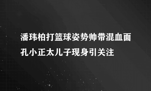 潘玮柏打篮球姿势帅带混血面孔小正太儿子现身引关注