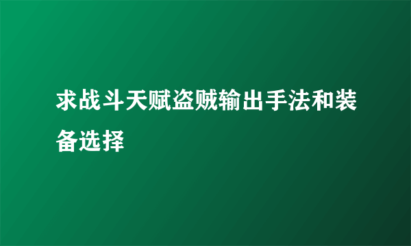 求战斗天赋盗贼输出手法和装备选择