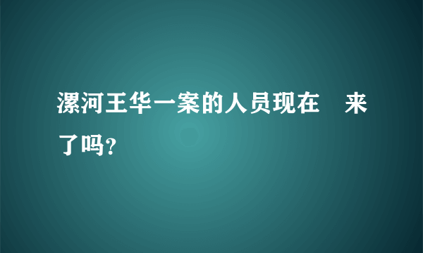 漯河王华一案的人员现在岀来了吗？