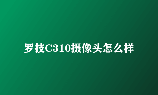 罗技C310摄像头怎么样