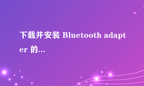 下载并安装 Bluetooth adapter 的驱动程序