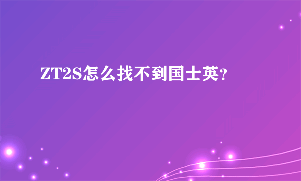 ZT2S怎么找不到国士英？