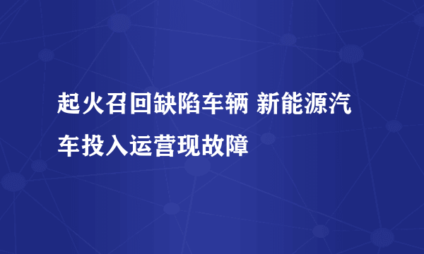 起火召回缺陷车辆 新能源汽车投入运营现故障