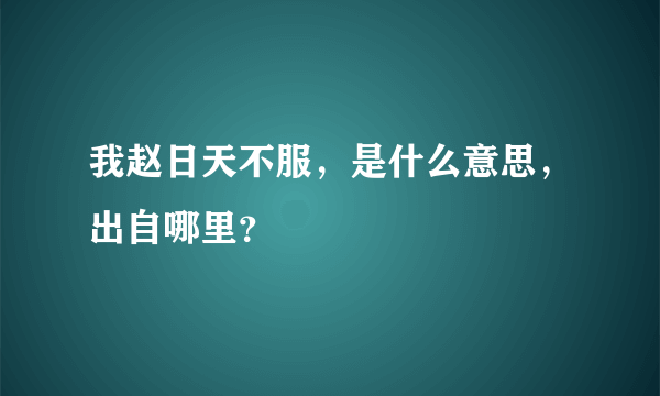 我赵日天不服，是什么意思，出自哪里？