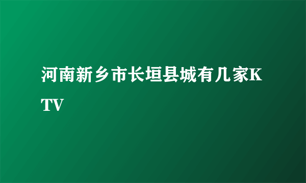 河南新乡市长垣县城有几家KTV