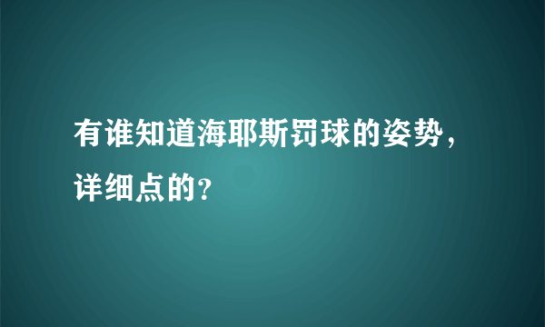 有谁知道海耶斯罚球的姿势，详细点的？