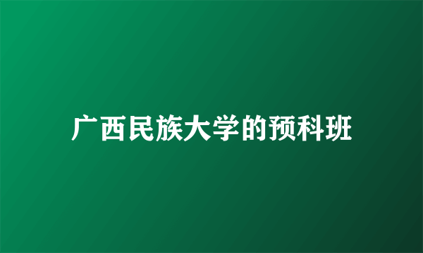 广西民族大学的预科班