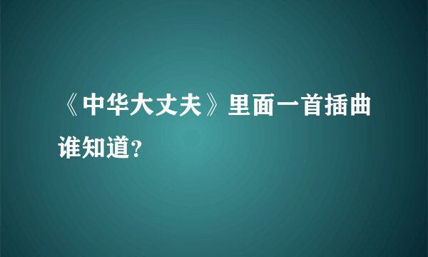 《中华大丈夫》里面一首插曲谁知道？