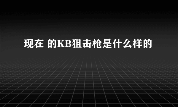 现在 的KB狙击枪是什么样的