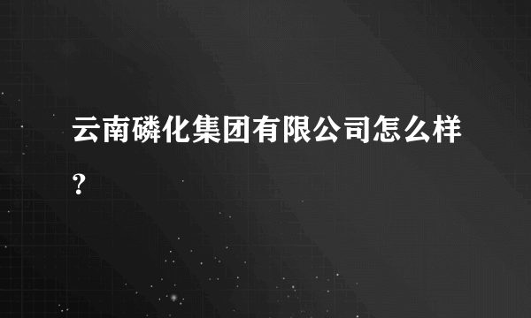 云南磷化集团有限公司怎么样？