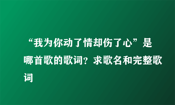 “我为你动了情却伤了心”是哪首歌的歌词？求歌名和完整歌词