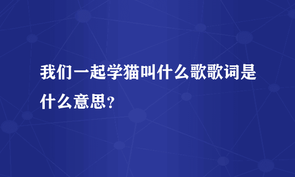 我们一起学猫叫什么歌歌词是什么意思？