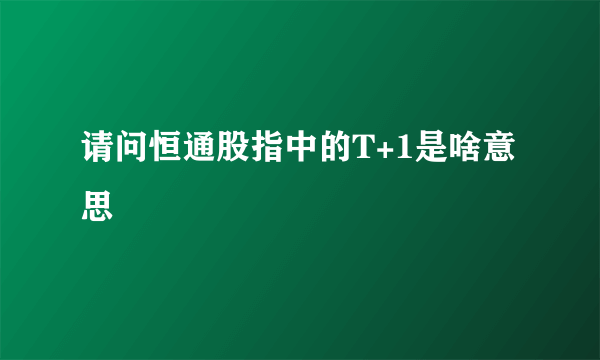 请问恒通股指中的T+1是啥意思